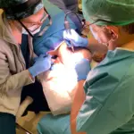 Seguimiento-y-Soporte-Continuo